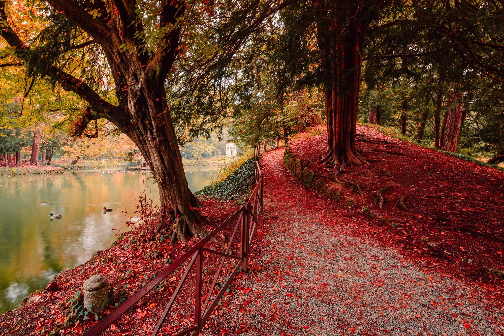 Immersi nei colori dell’autunno: il foliage in Lombardia