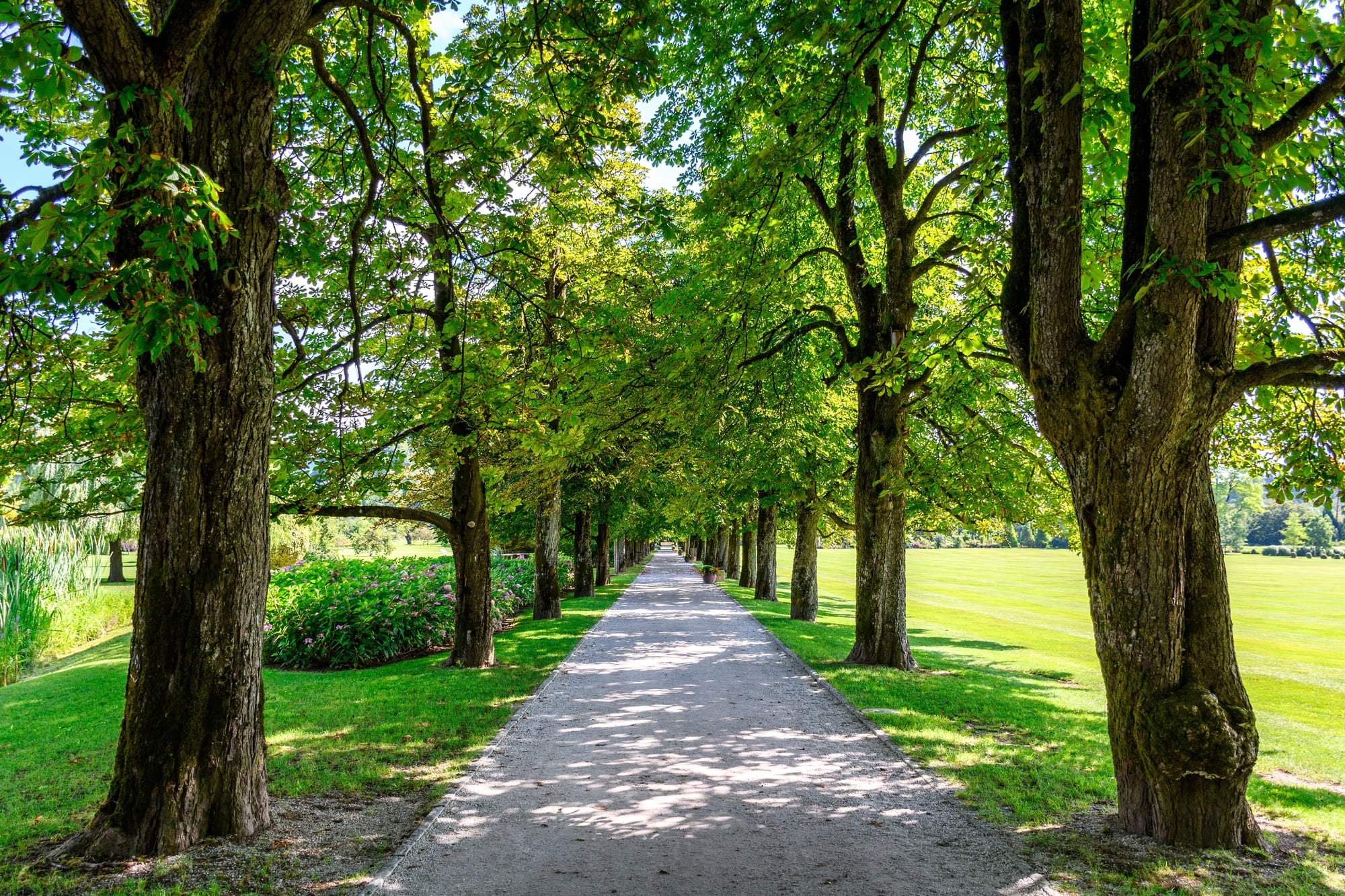 Parchi naturali Lombardia: le 10 riserve da scoprire