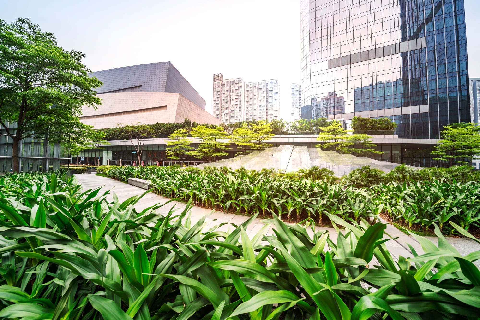 Mobility as a service: che cos’è e come funziona