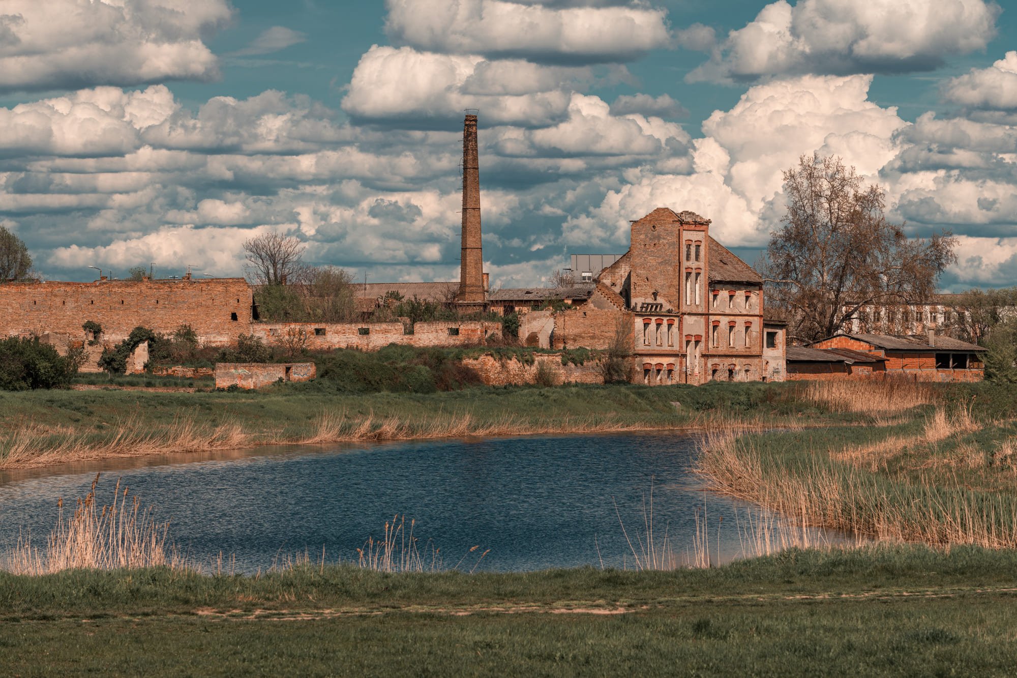 Benvenuti in Lomellina, gioiello rurale a due passi da Milano